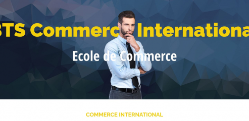 https://www.btscommerceinternational.fr