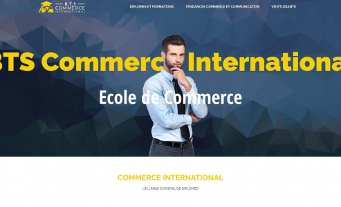 https://www.btscommerceinternational.fr